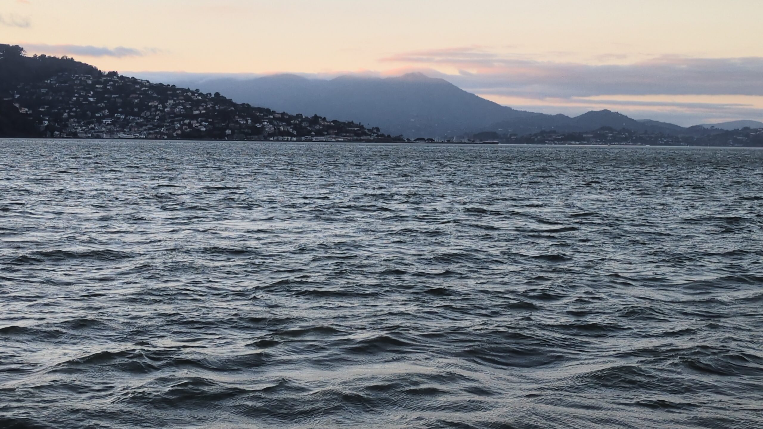 view of sausalito and mt tamalpais from the sf bay ferry